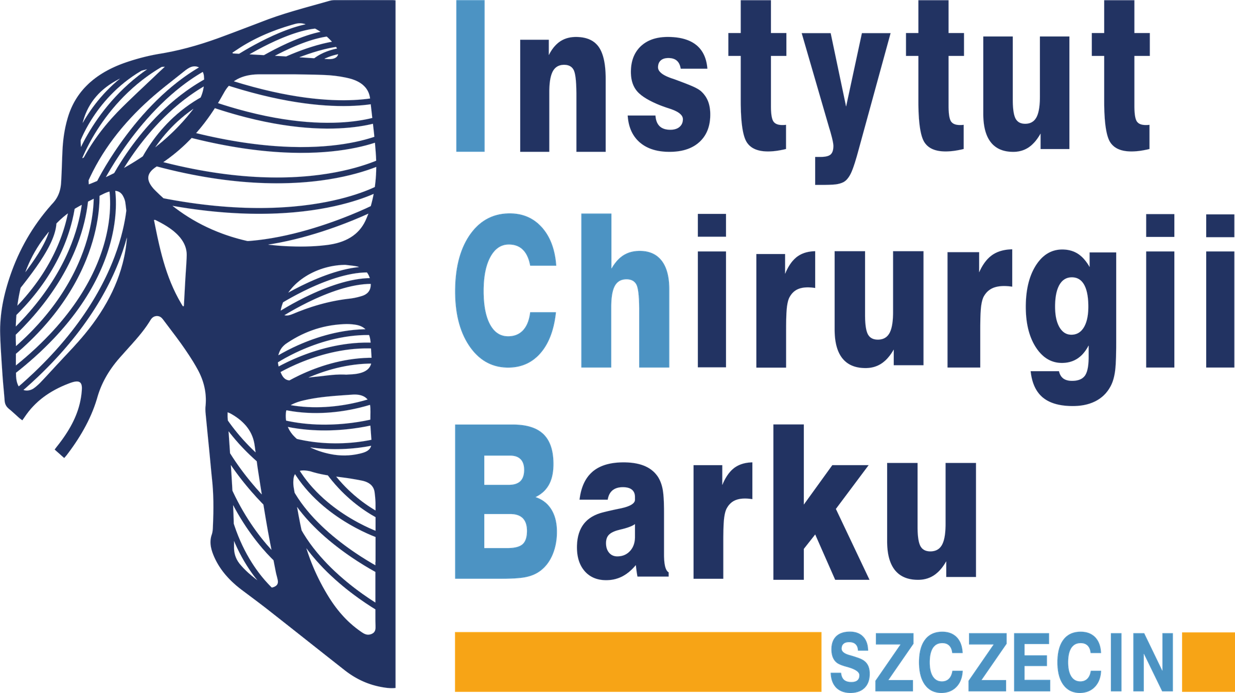 Instytut Chirurgii Barku Szczecin